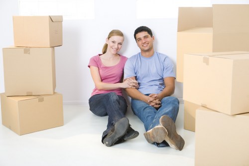 Professional man and van team handling boxes in Fulham